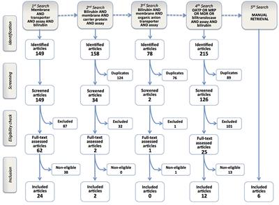 Membrane Transporters for Bilirubin and Its Conjugates: A Systematic Review